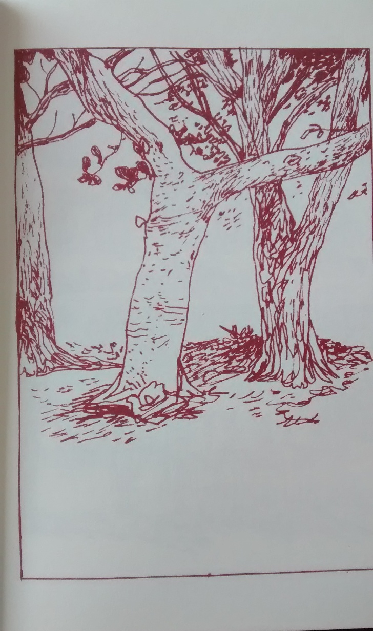 IMG_20160208_121719372